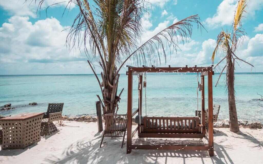 Beach swing under palm trees on Rakeedhoo